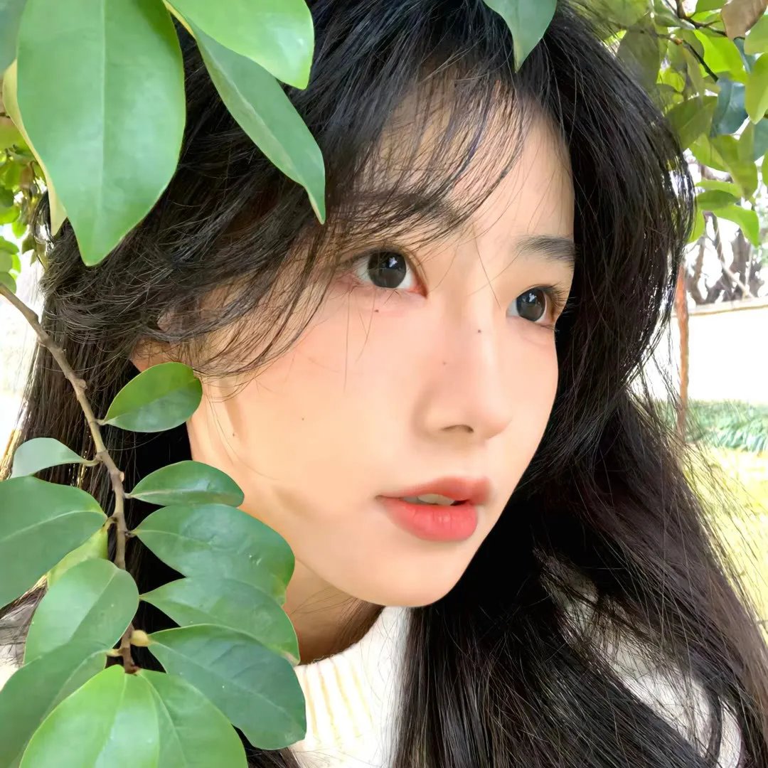 侠女十三妹
